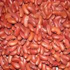 Rajma 